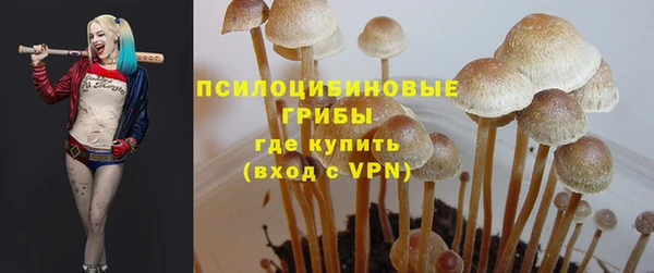 а пвп мука Вязьма