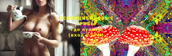 эйфоретик Вязники