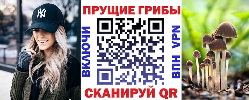Псилоцибиновые грибы Psilocybine cubensis  дарнет шоп  Южа 
